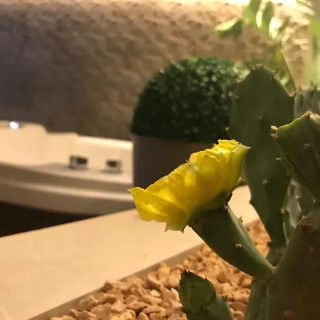 Sicitaly Hotel Aci Castello